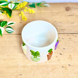 Ceramic Vegetable Plant Pot