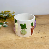 Ceramic Vegetable Plant Pot