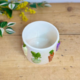 Ceramic Vegetable Plant Pot