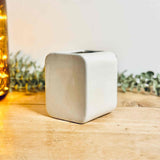 Retro Ceramic Sardines Tin Vase