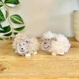 Pair of Fluffy Sheep