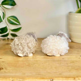 Pair of Fluffy Sheep