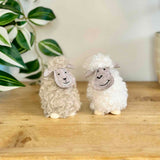 Pair of Tall Fluffy Sheep