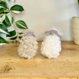 Pair of Tall Fluffy Sheep