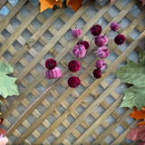 Purple Velvet Pumpkin Branch
