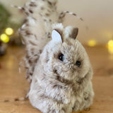 Hanging Fluffy Grey Squirrel