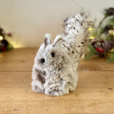 Hanging Fluffy Grey Squirrel