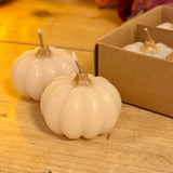Set of 6 White Pumpkin Candles