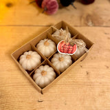 Set of 6 White Pumpkin Candles