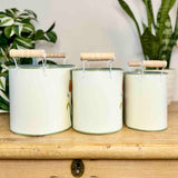 Set of 3 Metal Planters with Tulips