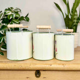 Set of 3 Metal Planters with Tulips