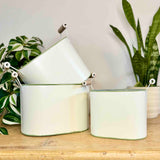 Set of 3 Metal Planters with Tulips