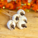 5 Mini White Wooly Pumpkins on Sticks
