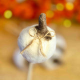 5 Mini White Wooly Pumpkins on Sticks