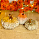 Set of 3 Ceramic Pumpkins