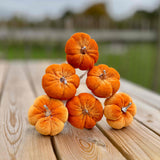 6 Orange Pumpkin Sticks