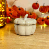 White Ceramic Pumpkin Pot