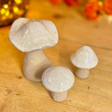 Set of 3 Natural Ceramic Mushrooms