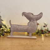 Sausage Dog in Green Coat