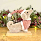 Fluffy Dog in Pink Jumper & Hat