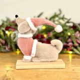 Fluffy Dog in Pink Jumper & Hat