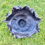 Ladies Head with Butterflies Planter