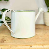 Metal Watering Can with Tulips Pot