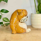 Sleepy Bulldog Vase