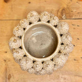 Large Ceramic Acorn Planter