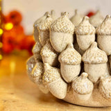 Large Ceramic Acorn Planter
