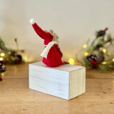 Brown Mouse in Red Jumper