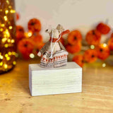 Mouse in Cream & Orange Knit Dress