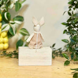 White Rabbit in Pink Spotty Dress