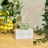 White Rabbit in Green Spotty Skirt