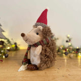 Hedgehog In Scarf & Hat