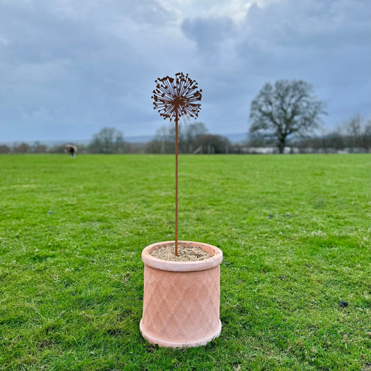 Small Metal Allium