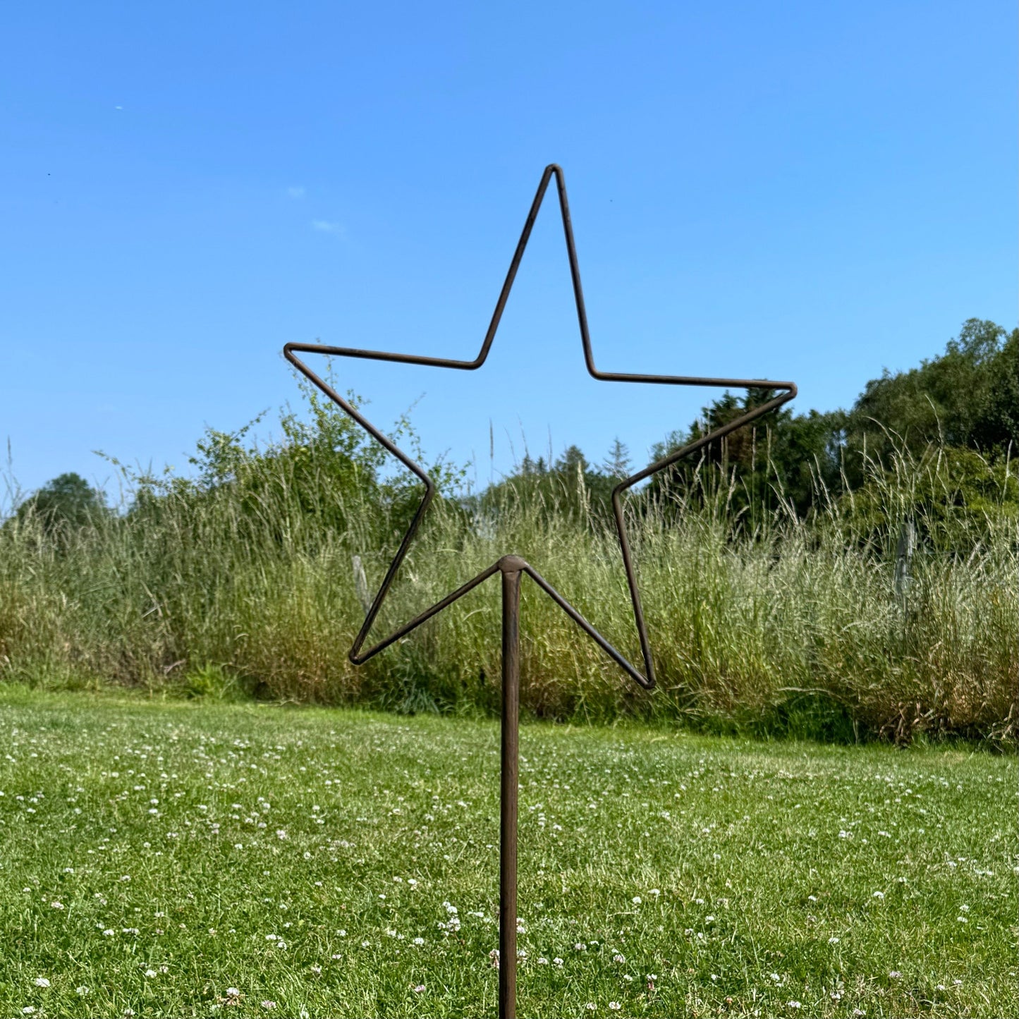 Small Star Stake